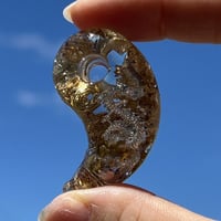 最強陰陽統合☯️勾玉～金箔の龍神～