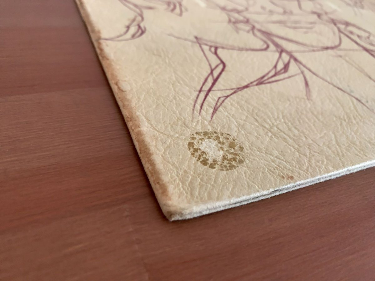 LE TRIO CAMARA - Le Trio Camara (SARAVAH SH1261