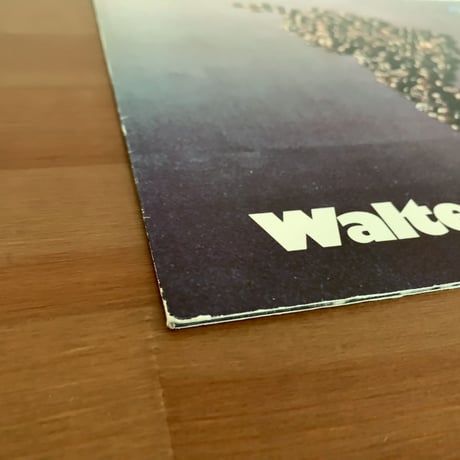WALTER STRERATH - Fly to Brazil (FLY RECORD FLY-0751)