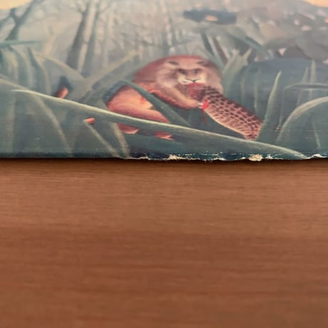 THELONIOUS MONK - Plays Duke Ellington  (RIVERSIDE RLP12-201)