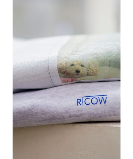 利口 Tシャツ  "Orikosan dog by the window"