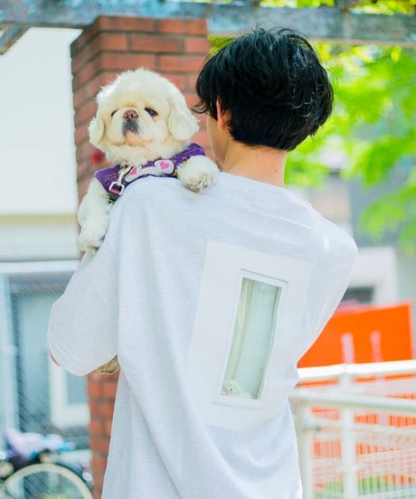 利口 Tシャツ  "Orikosan dog by the window"