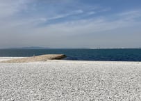 Japan Photo