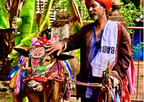 India Photo