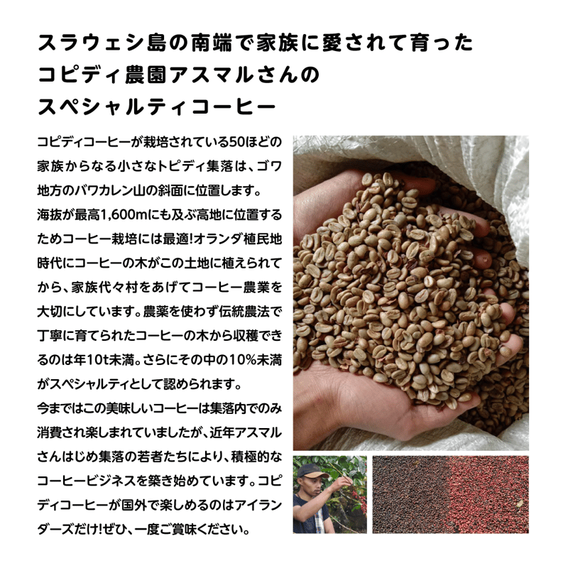 KOPIDI ＜生豆＞ | islanders' Coffee Company store