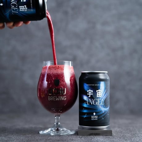 CATEGORY BEER STYLE | Sanka Outdoor&Craft Beer