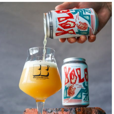 SAIRU BEER FOR NOW 激レア　7インチ CATEGORY BEER STYLE | Sanka Outdoor&Craft Beer