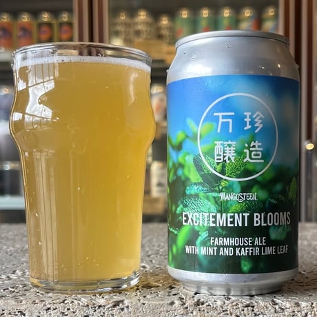 CATEGORY BEER STYLE | Sanka Outdoor&Craft Beer