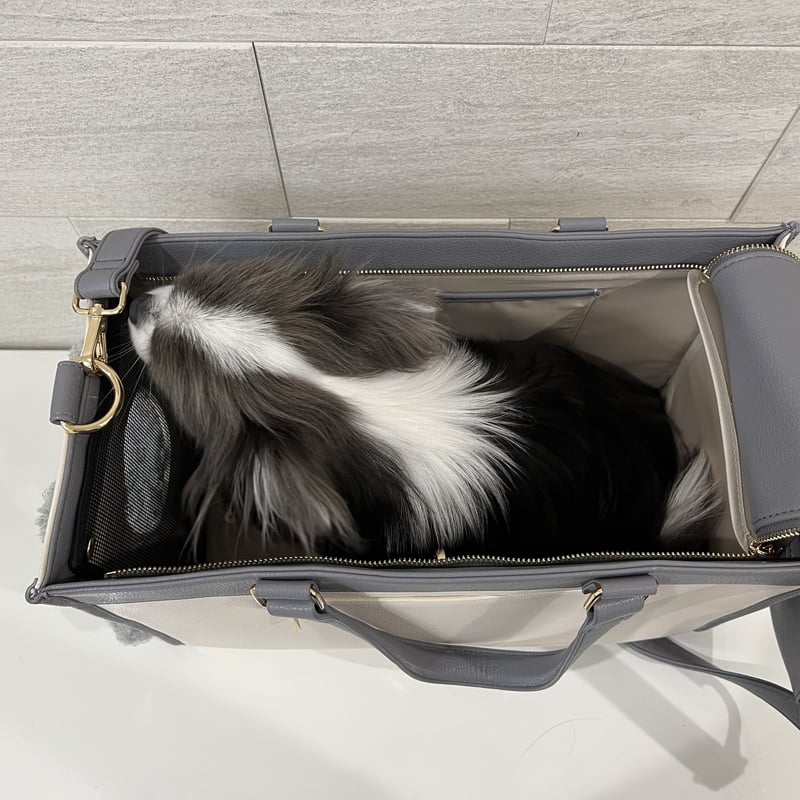 顔出しペットキャリーバッグ（PET CARR BAG) BEAR | Hunny Couture