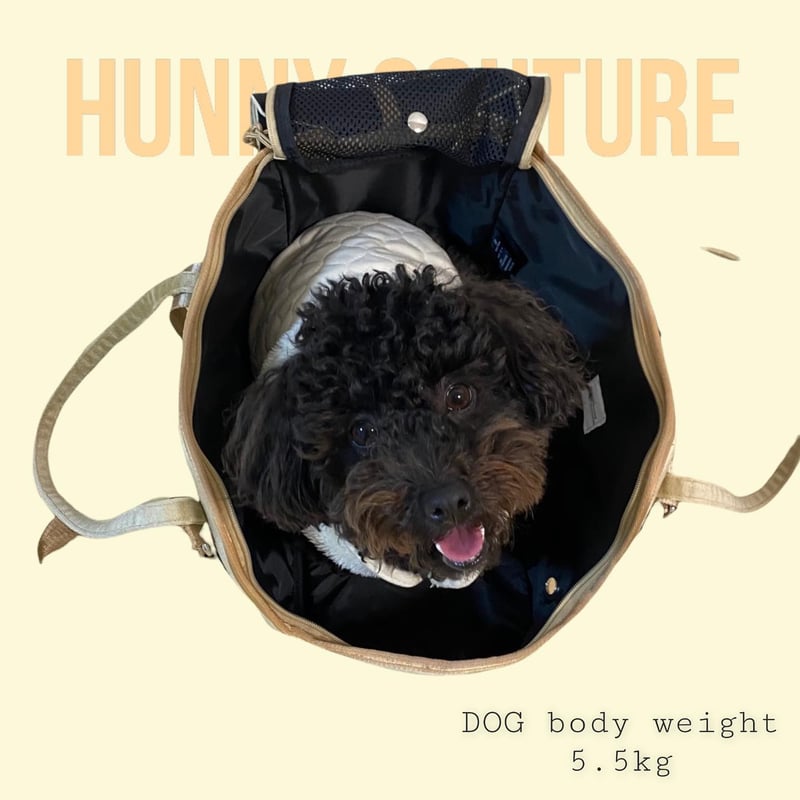 ペットキャリーバッグ | Hunny Couture