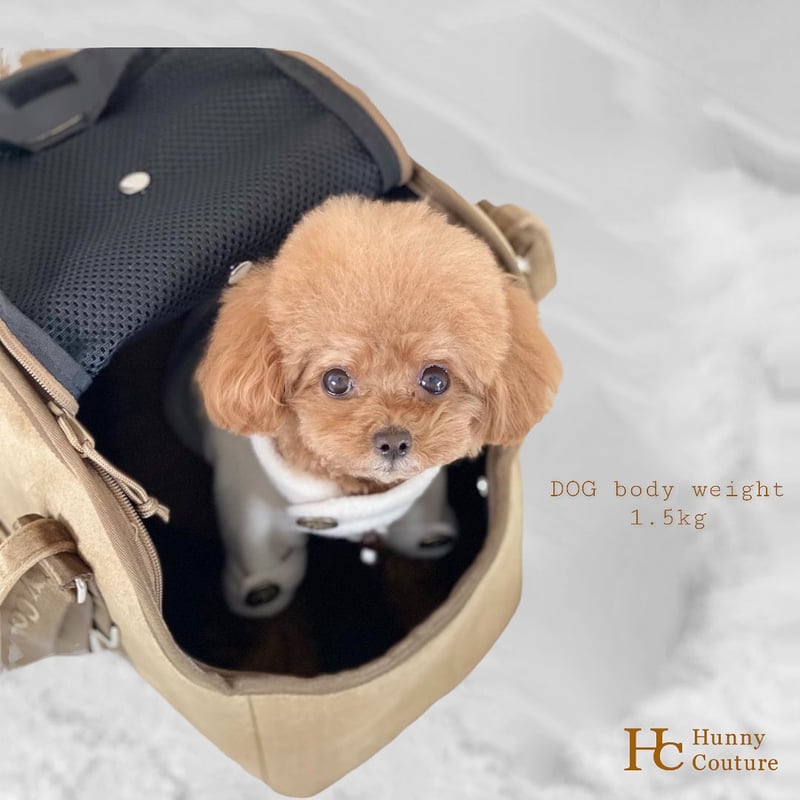 【未使用】Hunny Couture 顔出しキャリーバッグ Mサイズ Hunny Couture 新作ペットキャリーバッグ👜🧸💕 まもなく発売