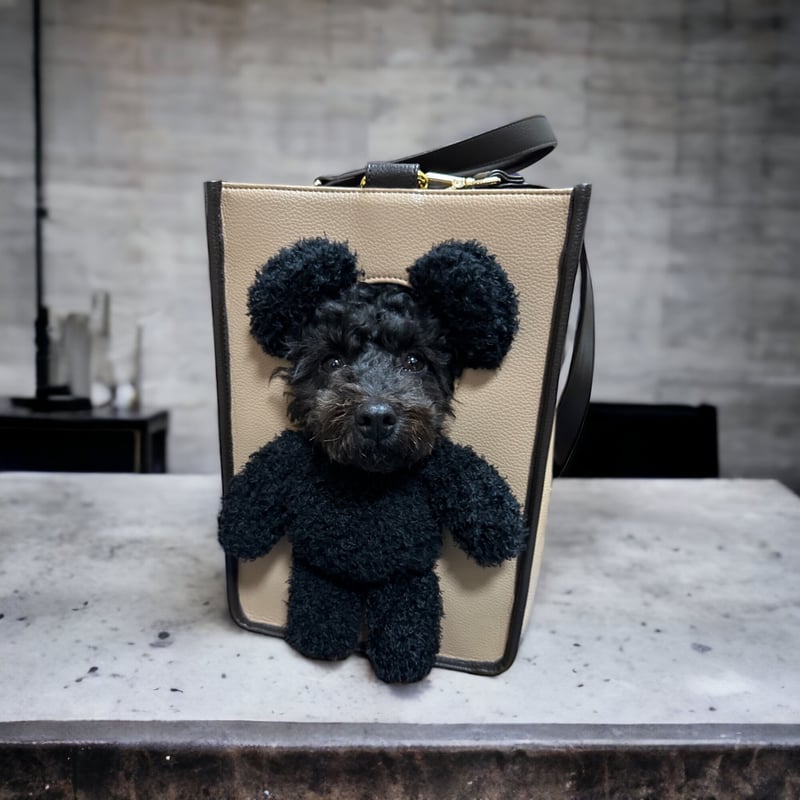 リニューアル前SALE】顔出しペットキャリーバッグ（PET CARR BAG