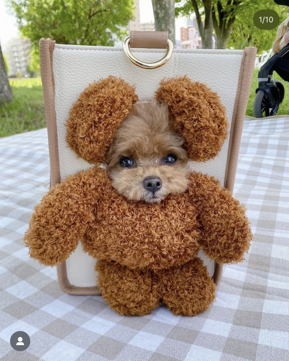 顔出しペットキャリーバッグ(PET CARR BAG) BEAR | Hunny Couture 顔出しペットキャリーバッグ(PET CARR BAG) BEAR | Hunny Couture