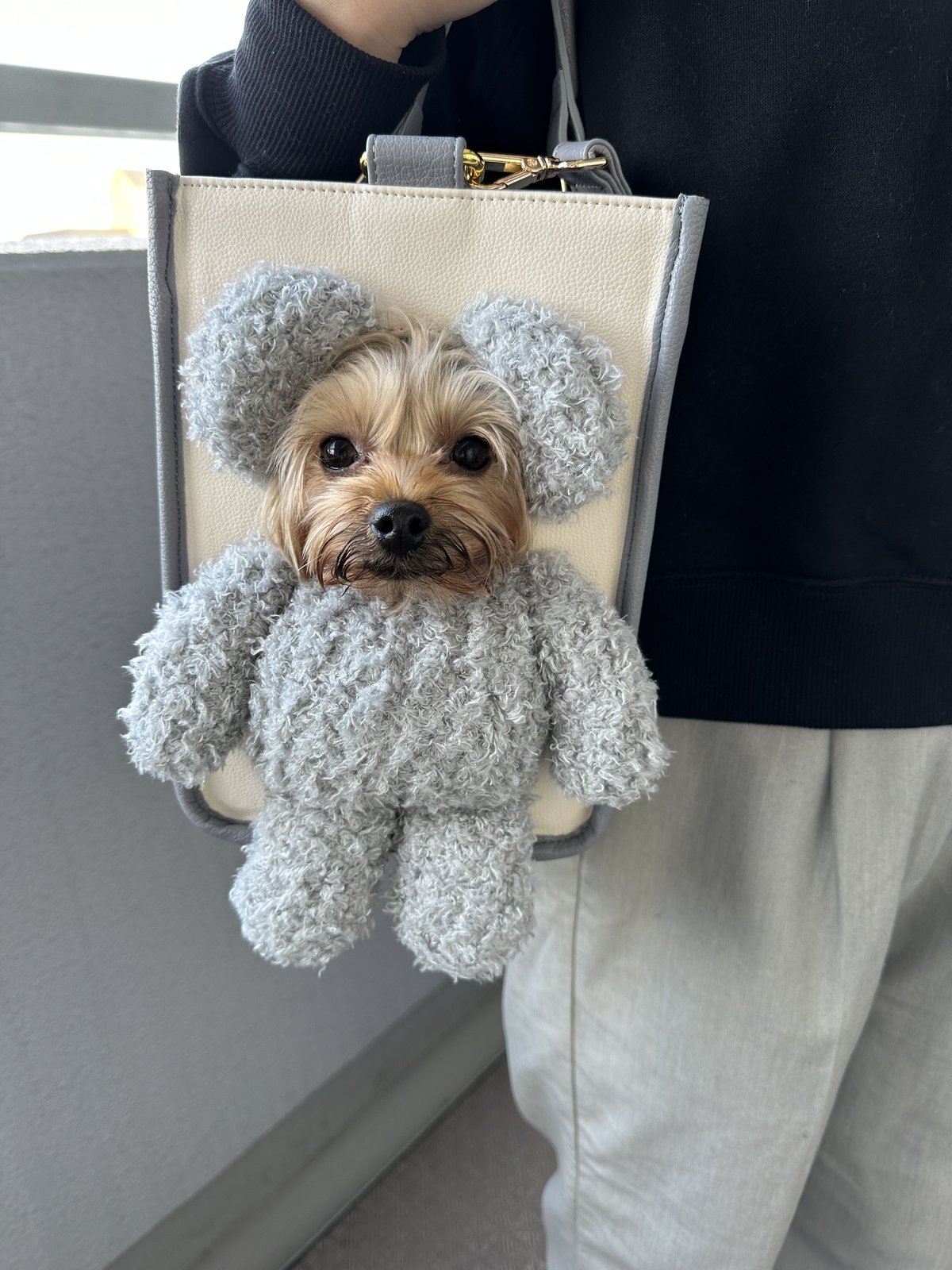 【未使用】Hunny Couture 顔出しキャリーバッグ Mサイズ リニューアル前SALE】顔出しペットキャリーバッグ（PET CARR BAG