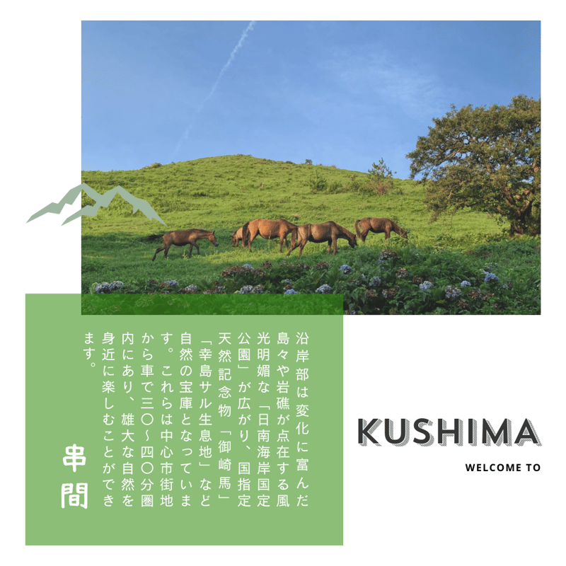 新米入荷！令和7年産契約栽培 宮崎県串間産 ミルキークイーン 10Kg