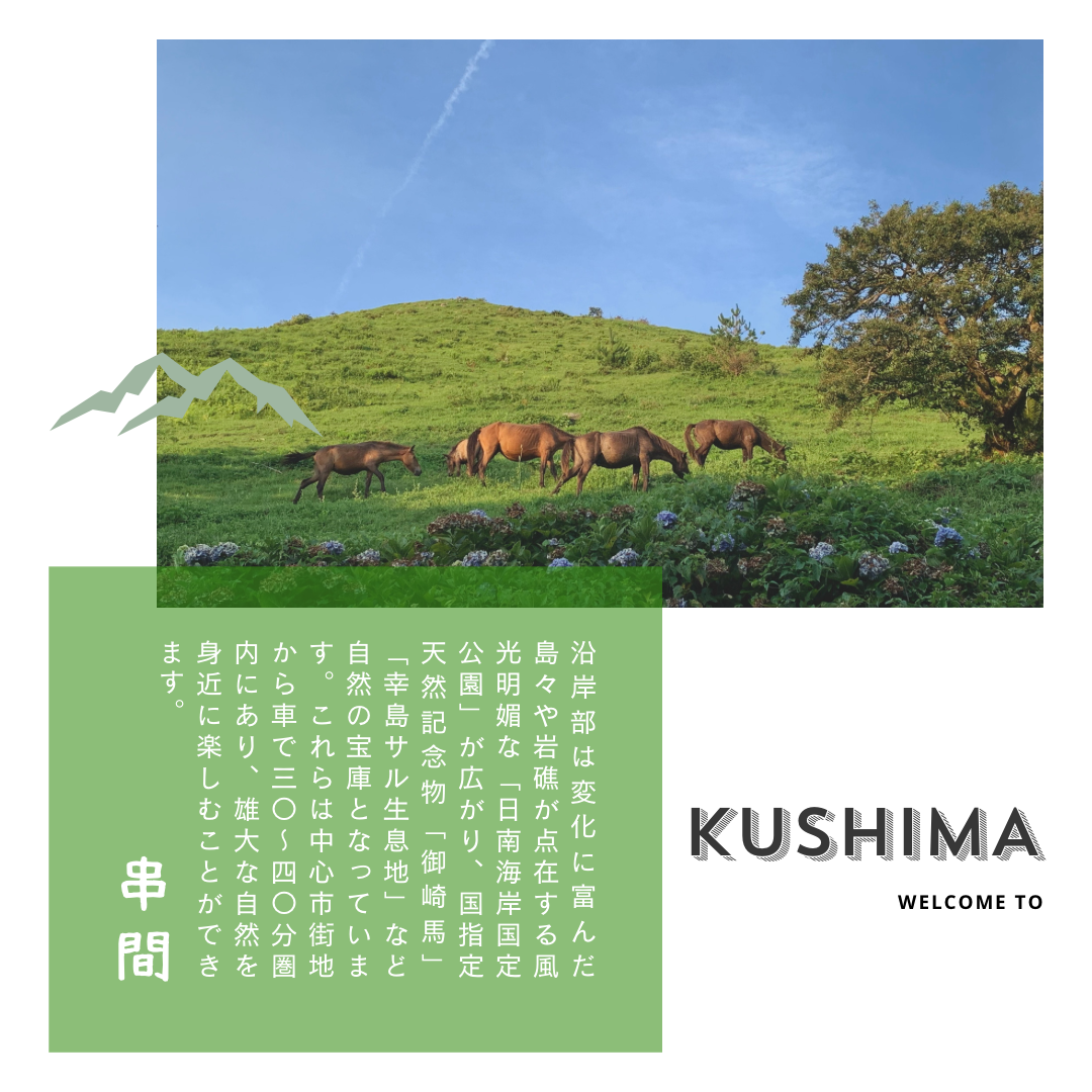 新米入荷！令和8年産契約栽培 宮崎県串間産 ミルキークイーン 10Kg