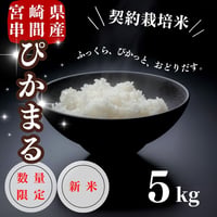 新米入荷！令和7年産契約栽培 宮崎県串間産 ミルキークイーン 5Kg