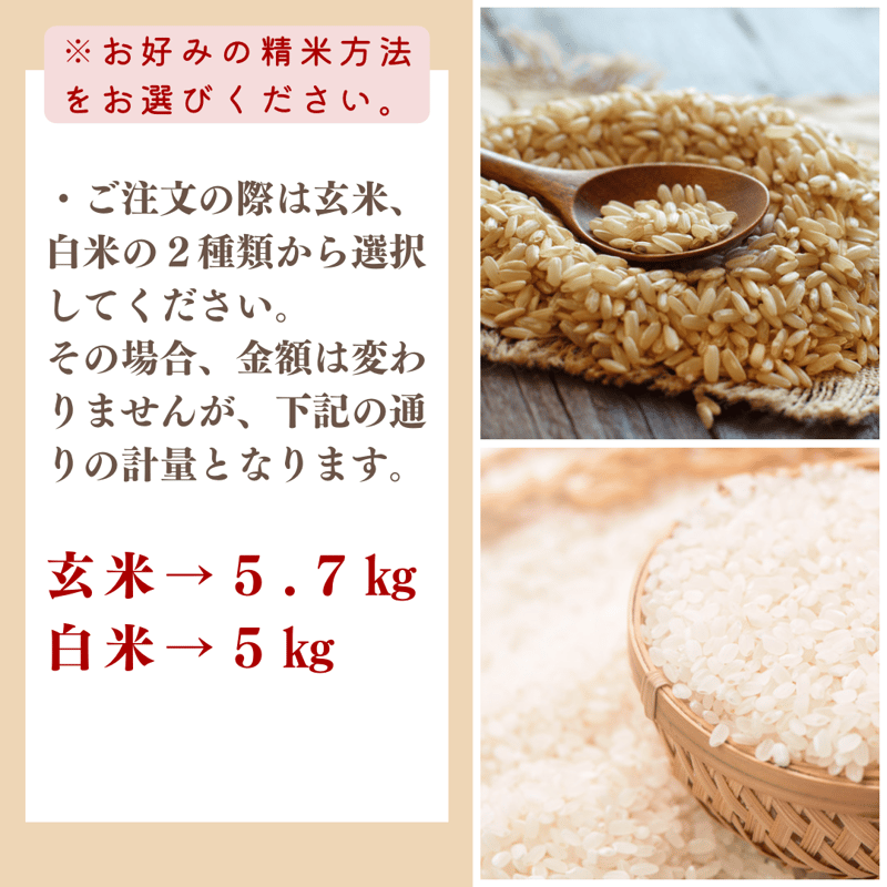 令和6年産契約栽培 宮崎県串間産 ミルキークイーン 10Kg 令和6年産契約栽培 宮崎県串間産 ミルキークイーン 10Kg