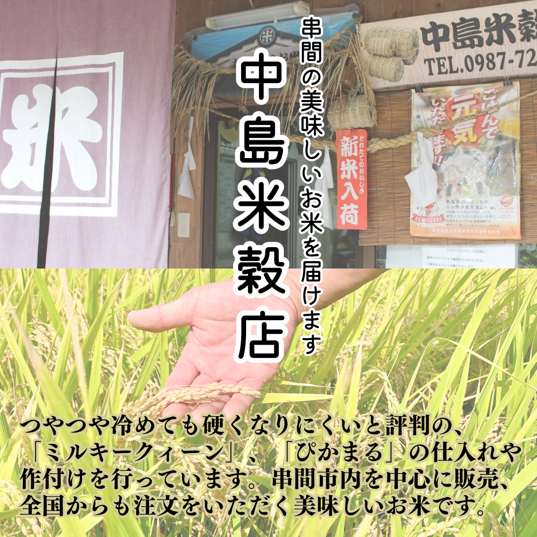 令和6年産契約栽培 宮崎県串間産 ミルキークイーン 10Kg 令和6年産契約栽培 宮崎県串間産 ミルキークイーン 10Kg