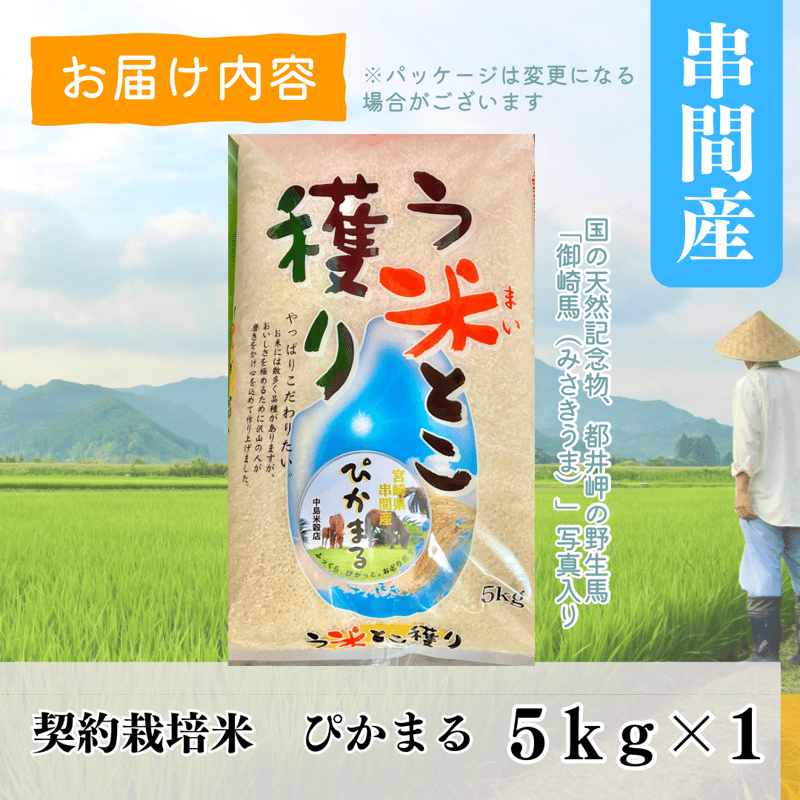 令和7年新米】名人作 希少 宮崎県串間産 ぴかまる 5Kg （白米、玄米