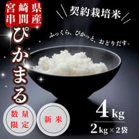 新米入荷!令和7年産契約栽培 宮崎県串間産 ミルキークイーン 10Kg 新米入荷!令和7年産契約栽培 宮崎県串間産 ミルキークイーン 10Kg