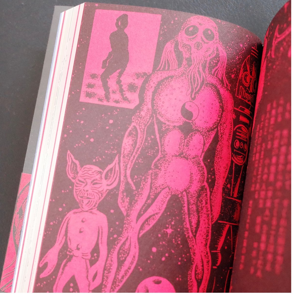 キノコ・キノコ　全巻* キノコ・キノコ 全巻* キノコ・キノコ 全巻*