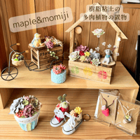 樹脂粘土の多肉植物 Maple&Momiji36-36~39 41.42