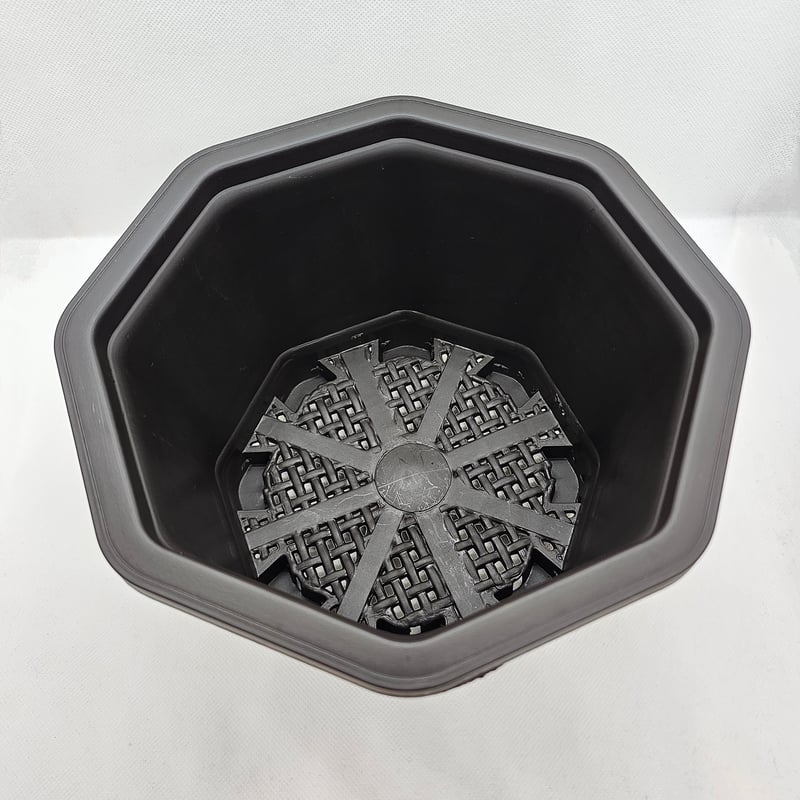 専用7寸5 | IGS plants