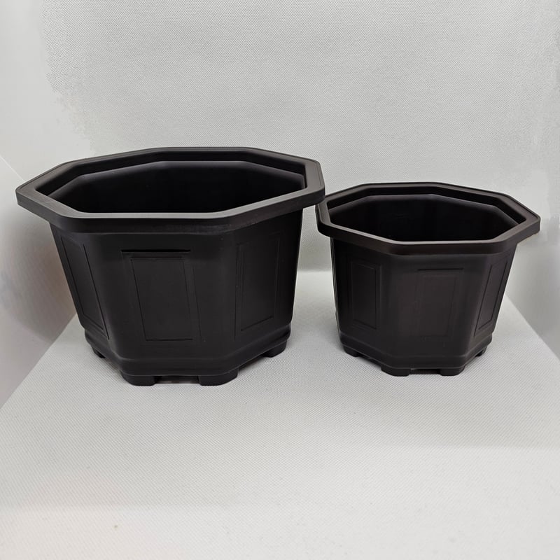 台湾 八角鉢 5寸・7寸 各5個セット | IGS plants