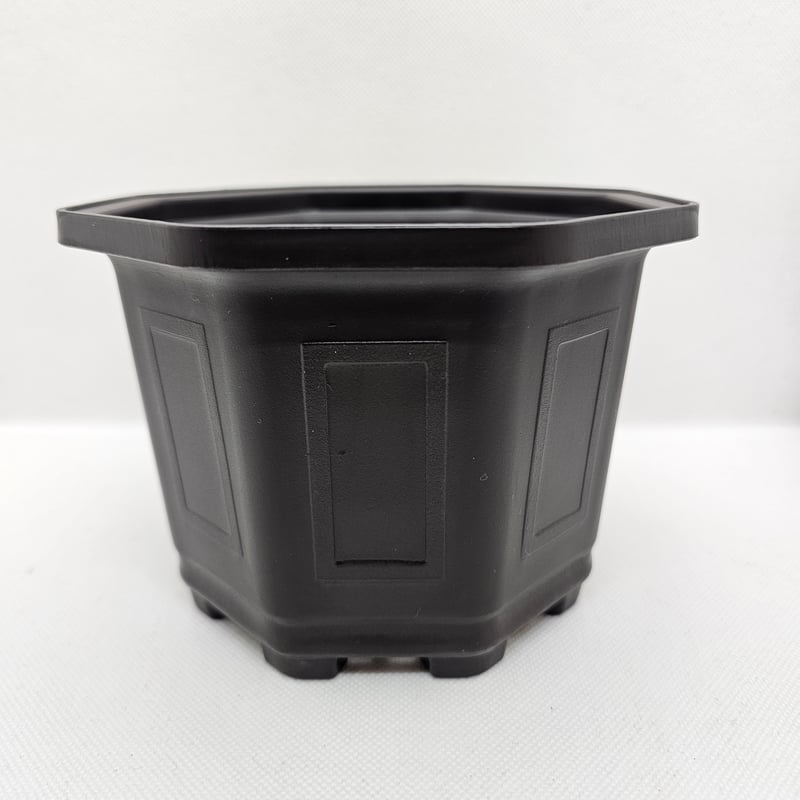 台湾 八角鉢 5寸 15個セット | IGS plants