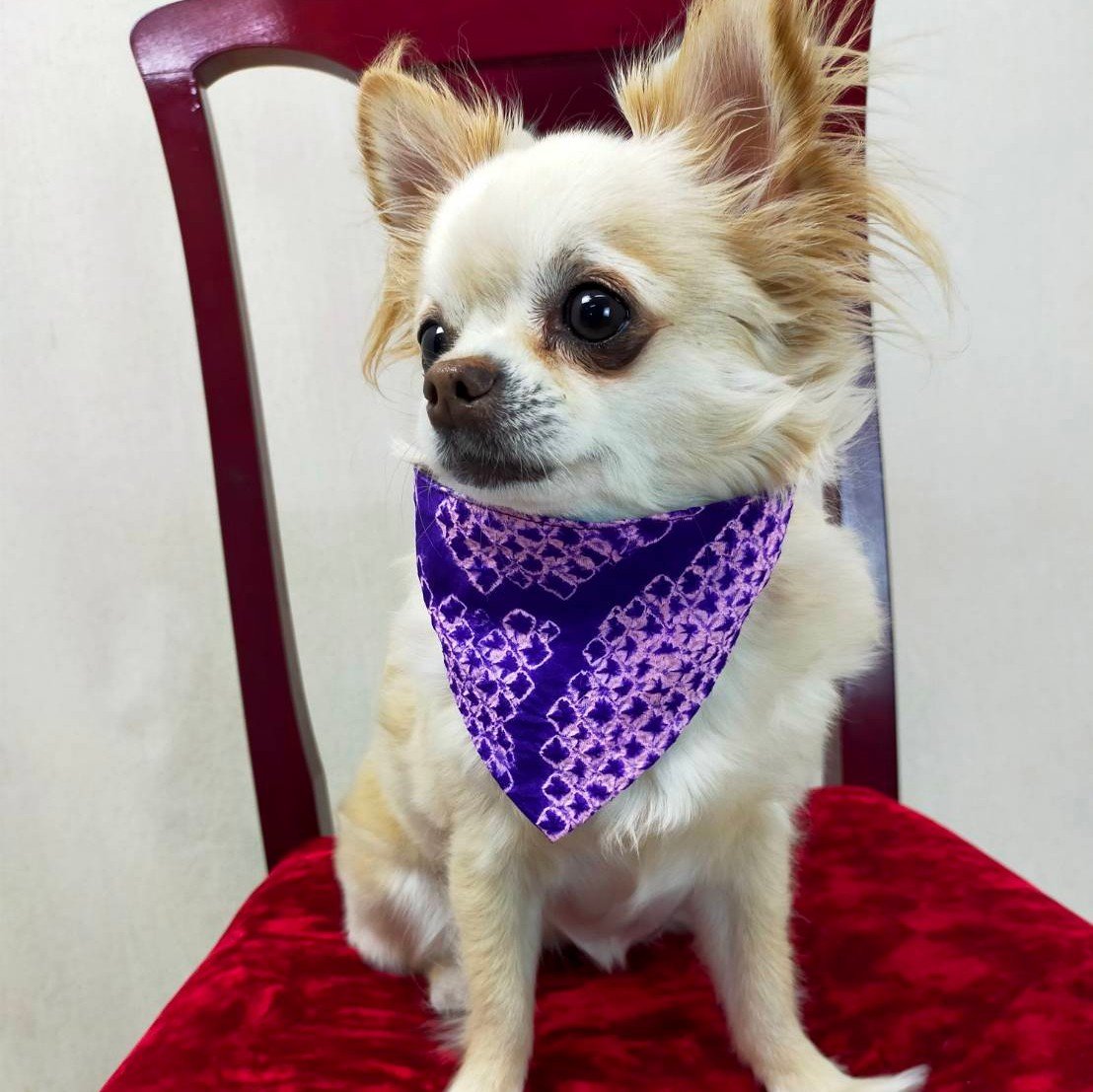 小型犬 犬服 バンダナ スカーフ 着物リメイク 和モダン 一点物