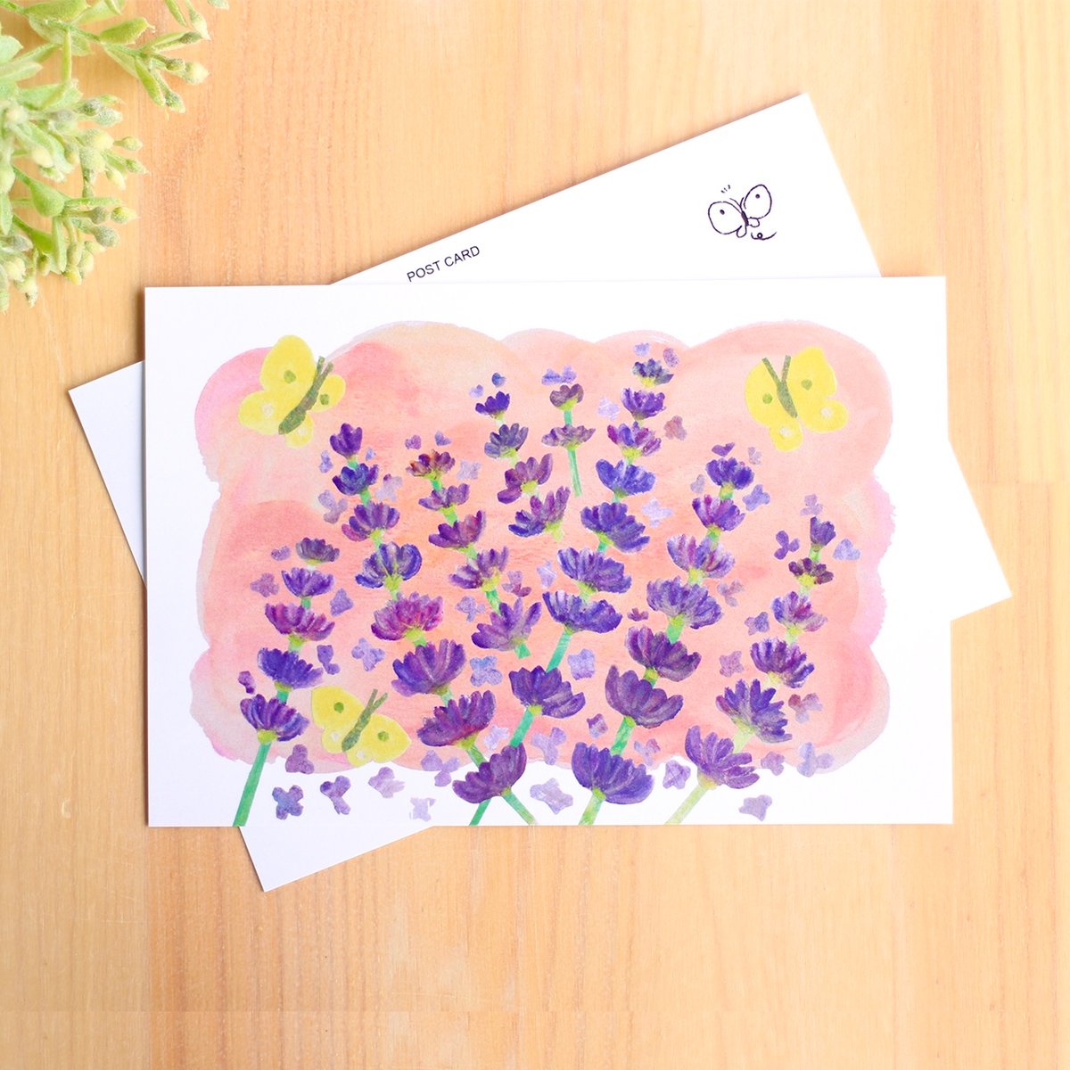 100円台の小さなアート！】ポストカード_ラベンダーと蝶(夕景)_