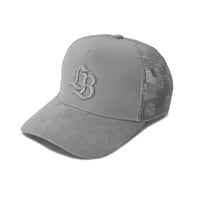 LB Logo Mesh Cap Gray