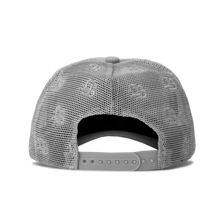 LB Logo Mesh Cap Gray