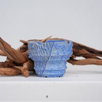 SOIL SKILLS DESIGN 作 陶器鉢 No.28 | carpediem