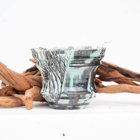 CATEGORY SSD | carpediem