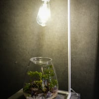 フロアーランプスタンド アコン ホワイト 植物育成ライト 角度調節可能　54cm Floor Lamp STAND【Akond】