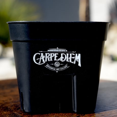 プレステラ９０黒　CARPEDIEMロゴ入り