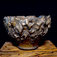 Yuta Uchida(内田裕太) 作　gold rust monst