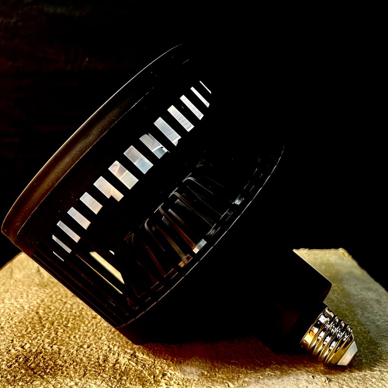 Aechmea move（エクメアムーブ）】マットブラック 首振りファン