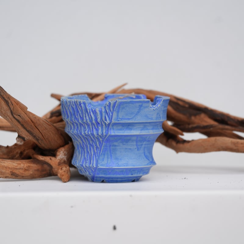 SOIL SKILLS DESIGN 作 陶器鉢 No.23 | carpediem