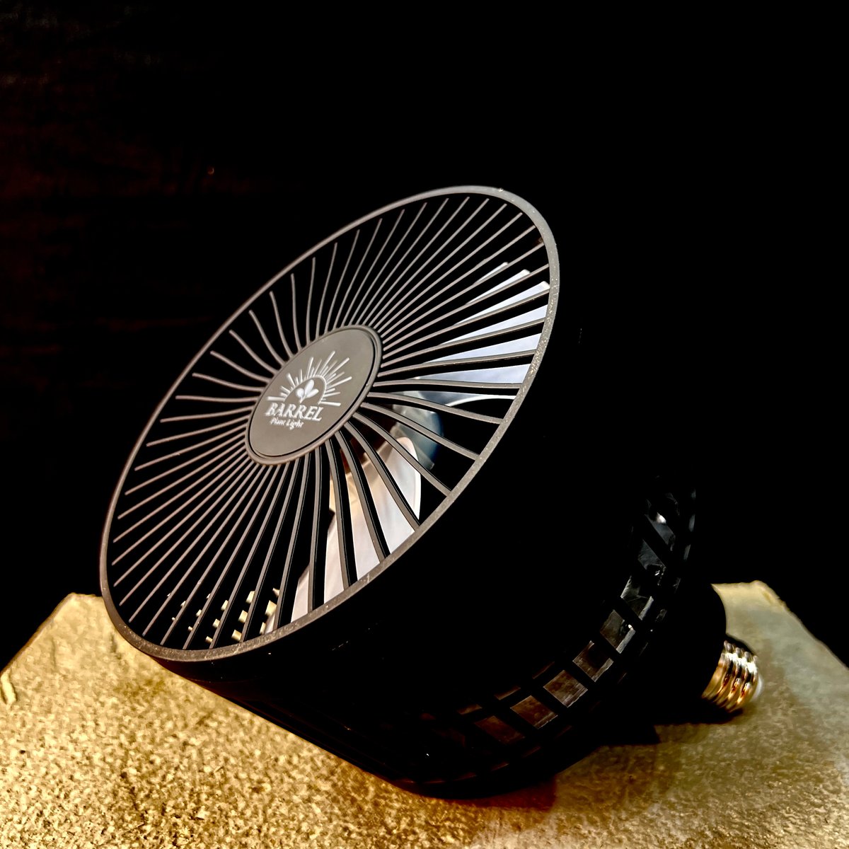 Aechmea move（エクメアムーブ）】マットブラック 首振りファン