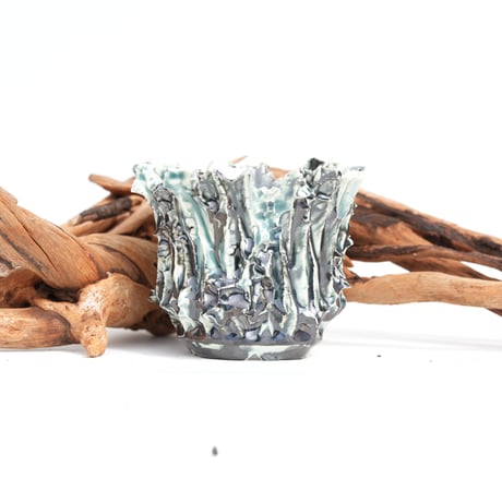 CATEGORY SSD | carpediem