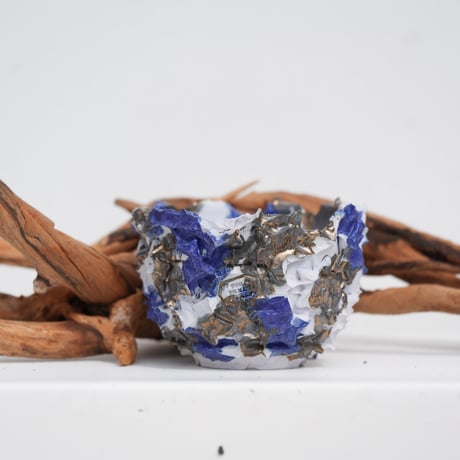 CATEGORY SSD | carpediem