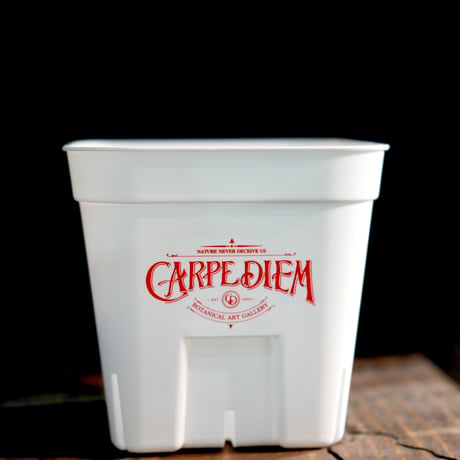 プレステラ９０白　CARPEDIEMロゴ入り