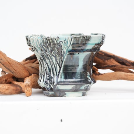 CATEGORY SSD | carpediem