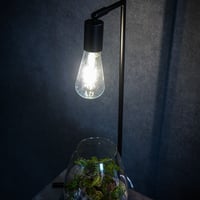 フロアーランプスタンド アコン ブラック 植物育成ライト 角度調節可能　54cm Floor Lamp STAND【Akond】