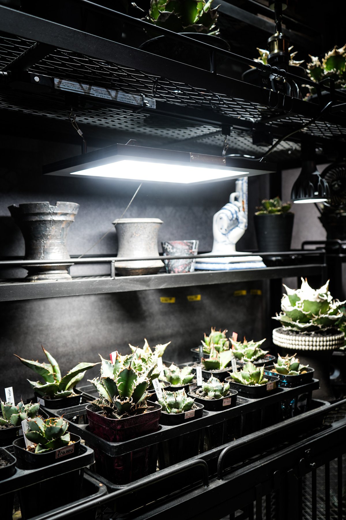 ROKI350 パネルライト　① 植物育成LED 楽天市場】パネルライト【ROKI‐350 100W】ロキBARREL リニューアル版