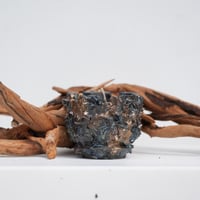 SOIL SKILLS DESIGN 作　陶器鉢　No.14