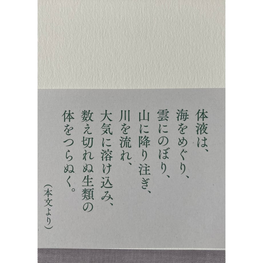 68f9e4e9155f2d3874a35323